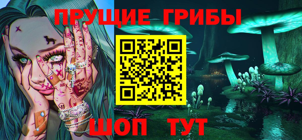 Галлюциногенные грибы Psilocybine cubensis Кыштым