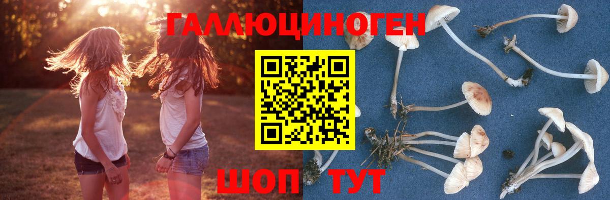 Кыштым  Псилоцибиновые грибы MAGIC MUSHROOMS  Вход с VPN 